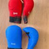Karate Gloves