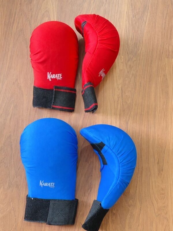 Karate Gloves
