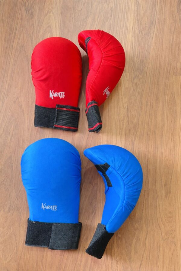 Karate Gloves