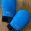 Karate Gloves