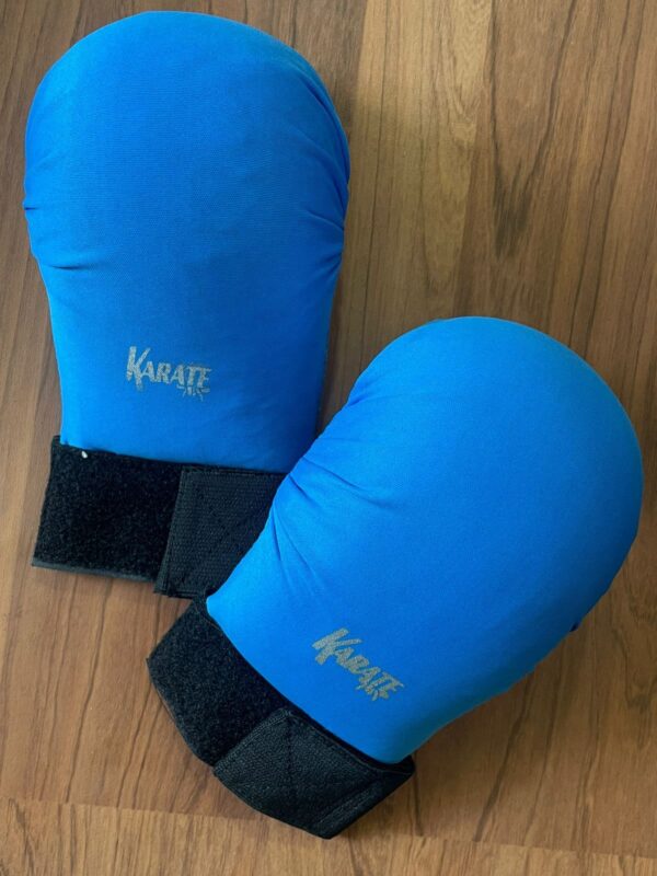 Karate Gloves