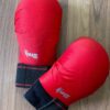 Karate Gloves