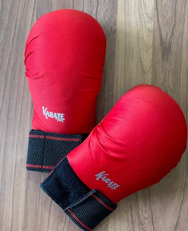 Karate Gloves